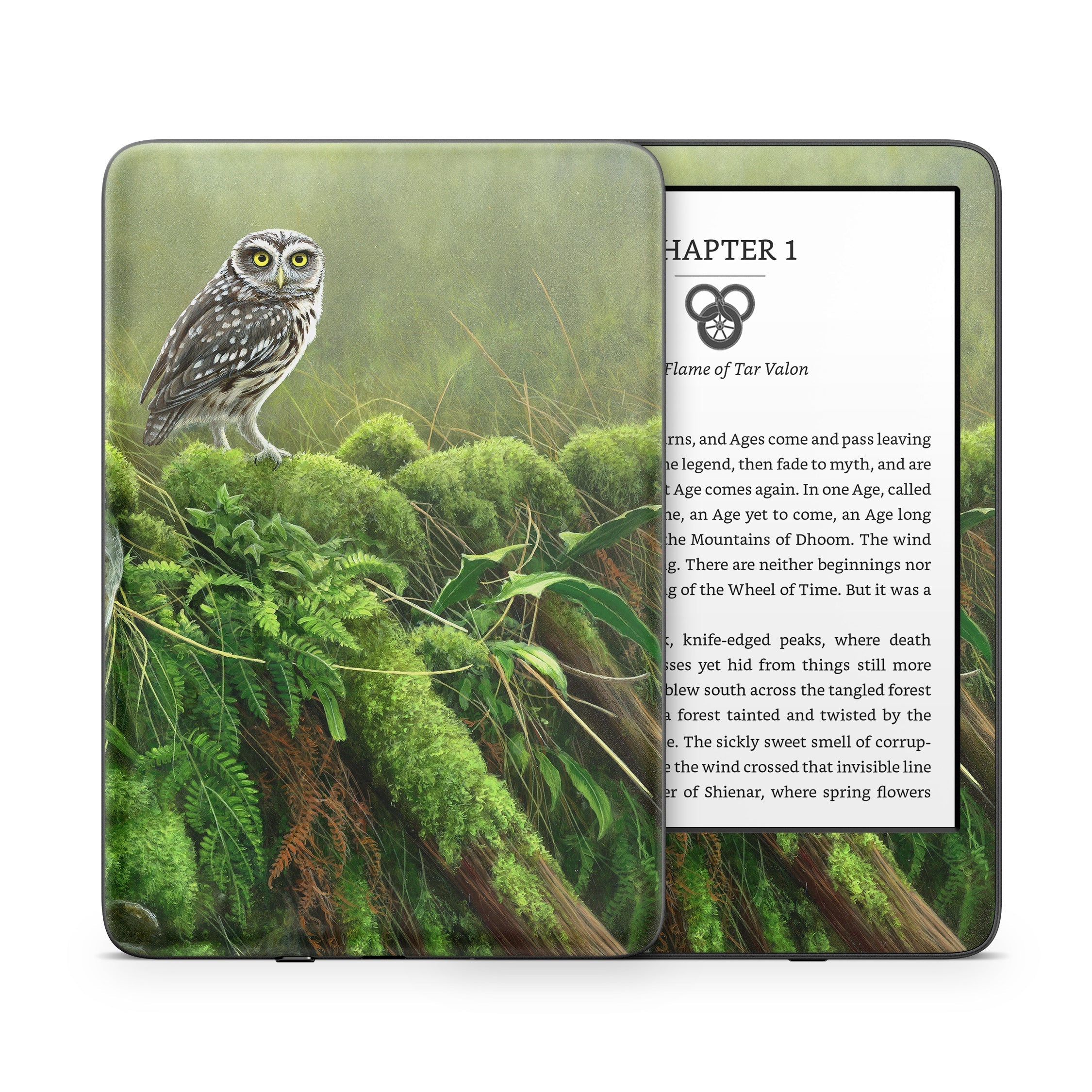 Tumbledown - Amazon Kindle Skin