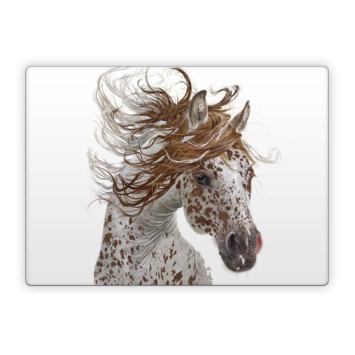 Appaloosa - Microsoft Surface Laptop Skin