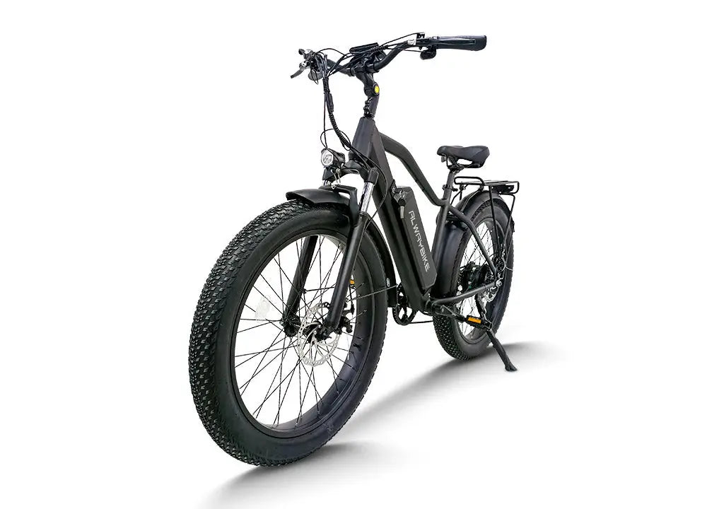 CEMOTO EBIKE B28A | High Step Fat Tire Ebike