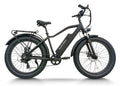 CEMOTO EBIKE B28A | High Step Fat Tire Ebike