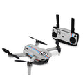 Herbert the Caring Insect - DJI Mavic Mini Skin