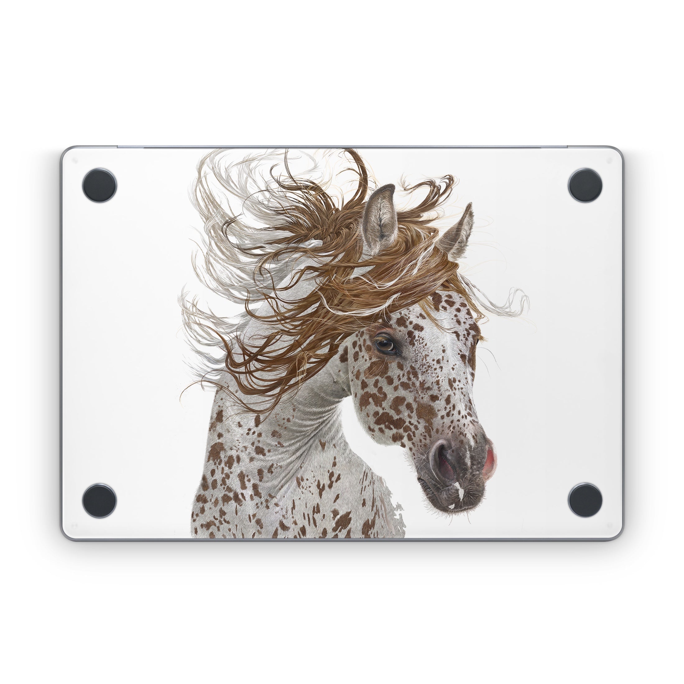 Appaloosa - Apple MacBook Skin