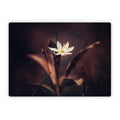 Delicate Bloom - Microsoft Surface Laptop Skin
