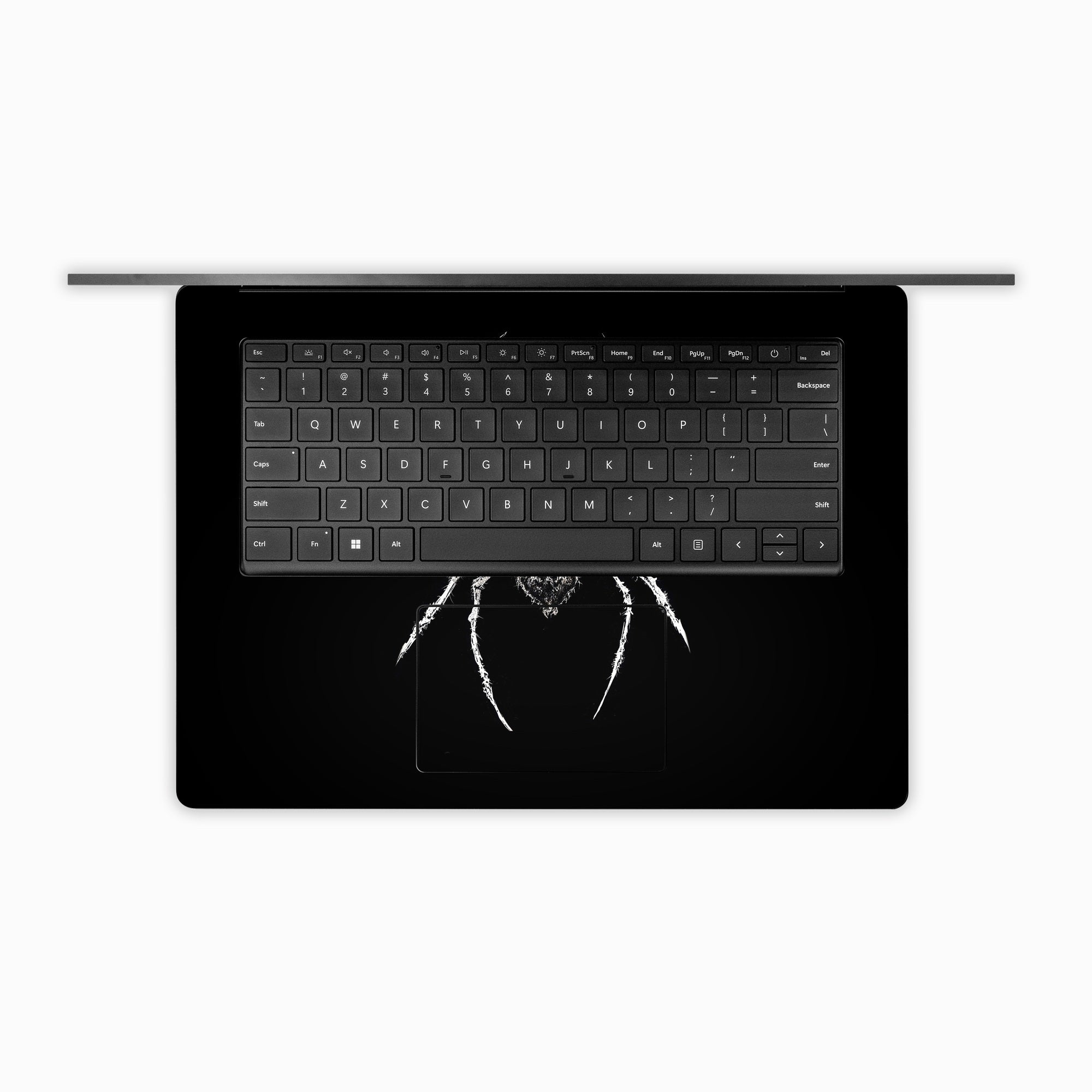 Spidrasica - Microsoft Surface Laptop Skin