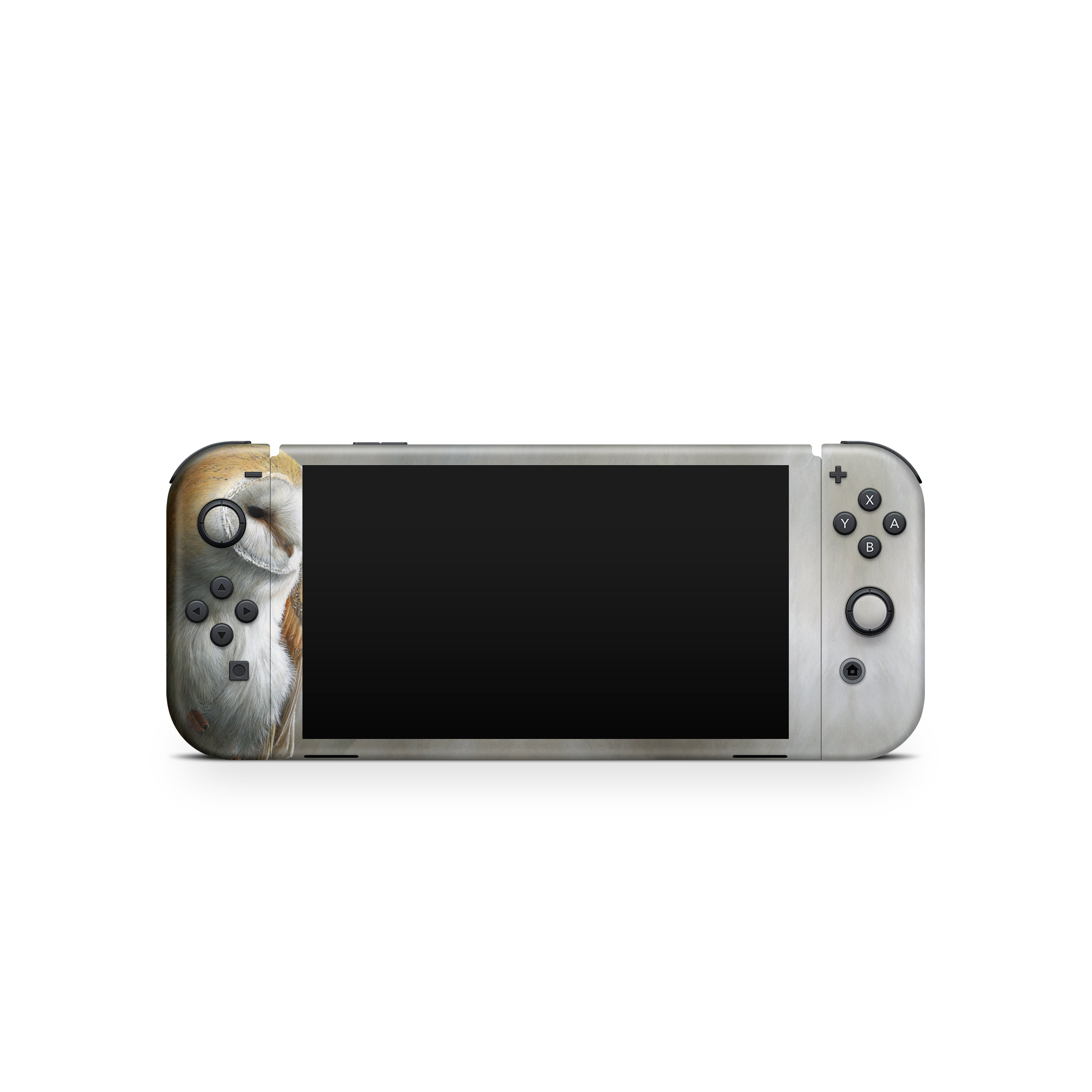 Barn Owl - Nintendo Switch Skin