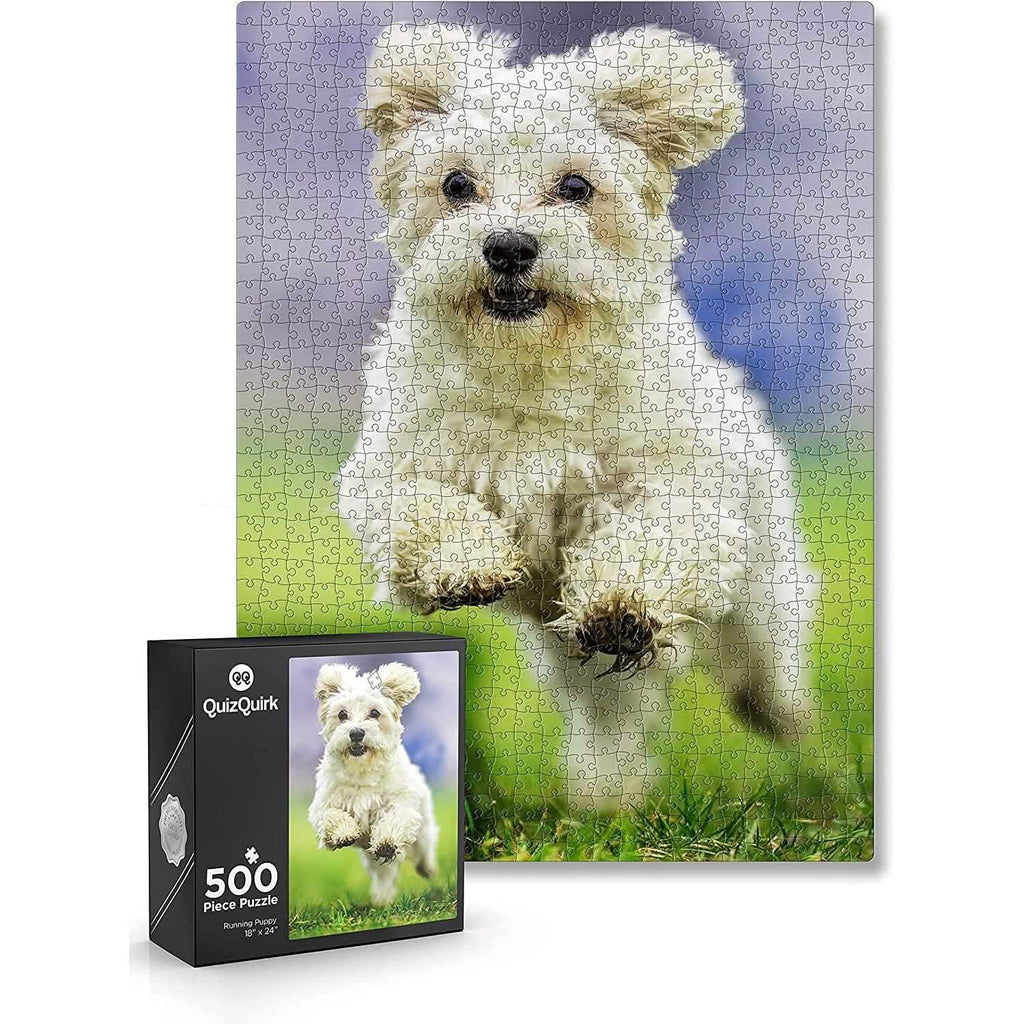 Puzzle with Puzzle Saver Kit