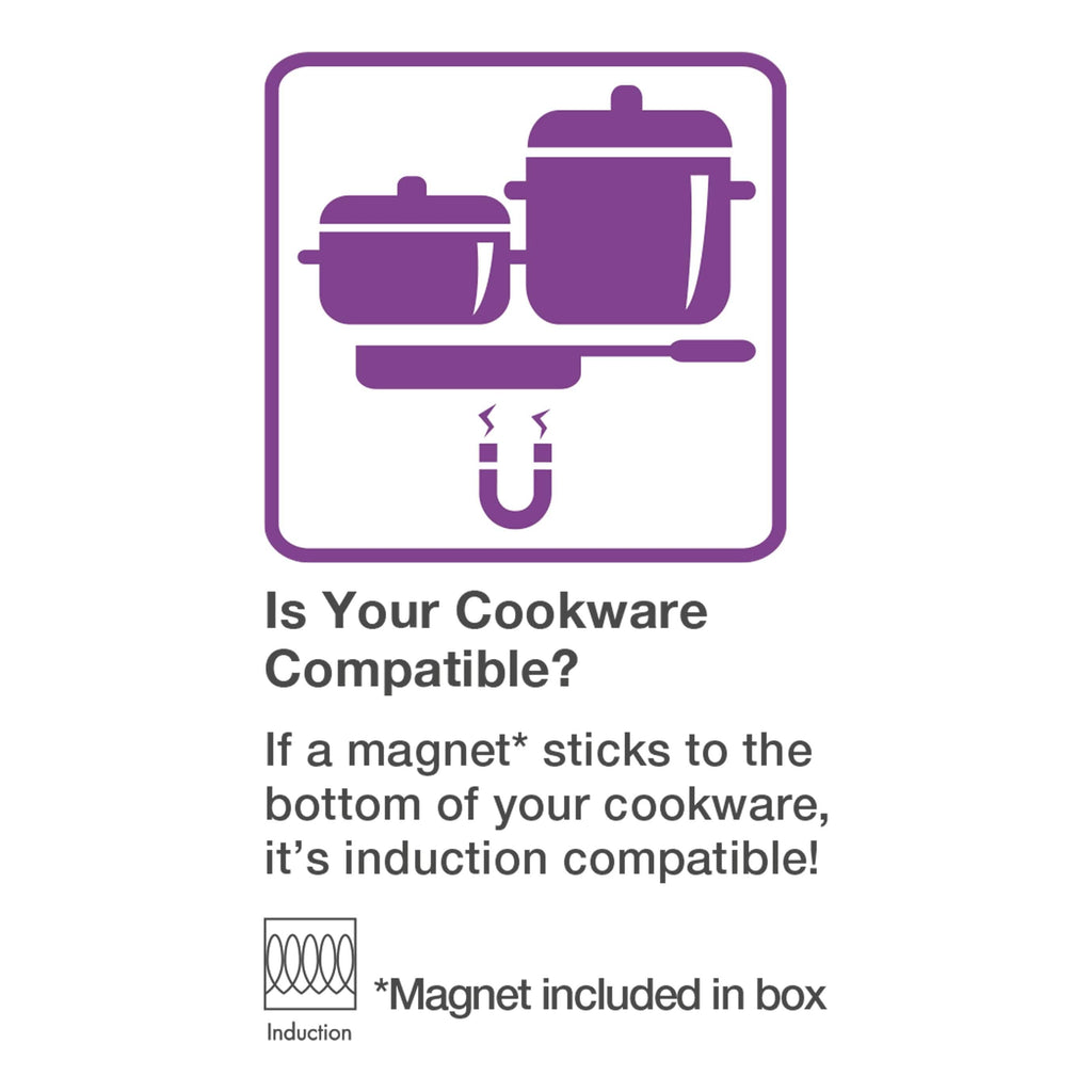 Salton Portable Induction Cooktop