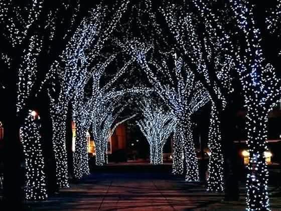 Solar-Powered 100 LED Fairy Light String - Assorted Colors