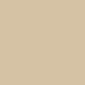 Solid State Beige - DJI Avata Battery Skin